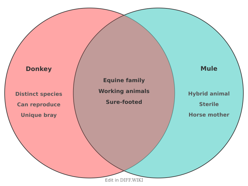 Venn diagram for Differences between Donkey and Mule