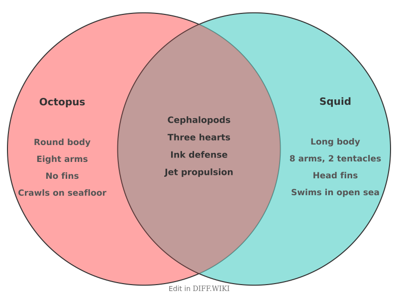Venn diagram for Differences between Octopus and Squid