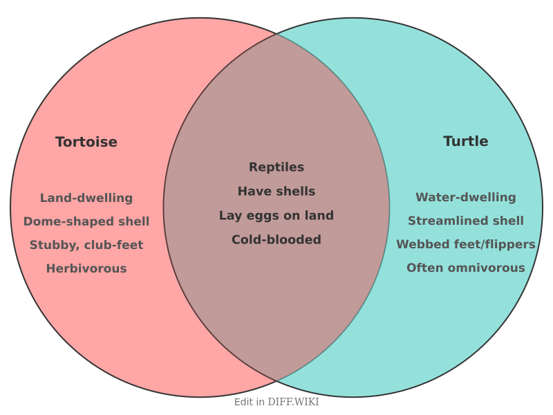 File:Venn diagram Differences between Tortoise versus Turtle comparison.png