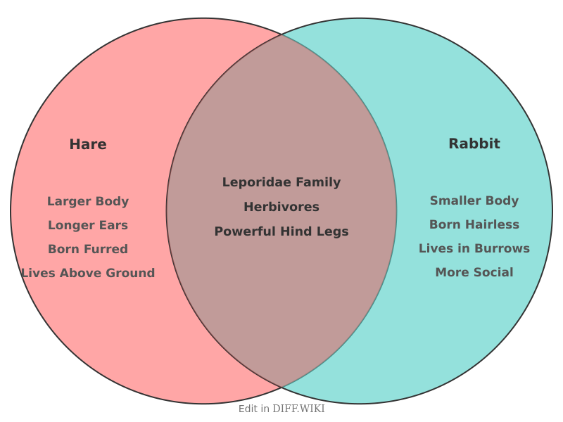 Venn diagram for Differences between Hare and Rabbit