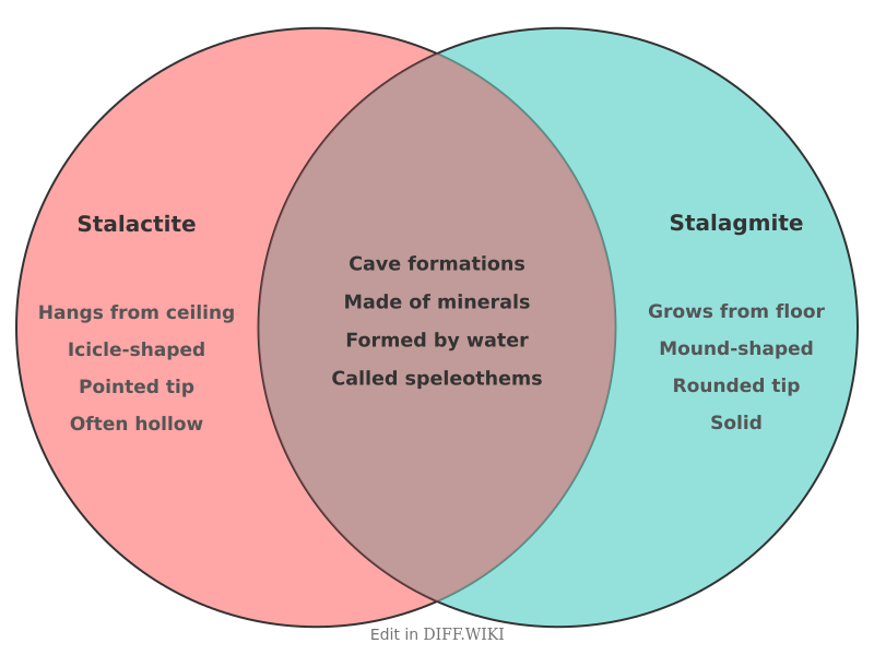 Venn diagram for Differences between Stalactite and Stalagmite