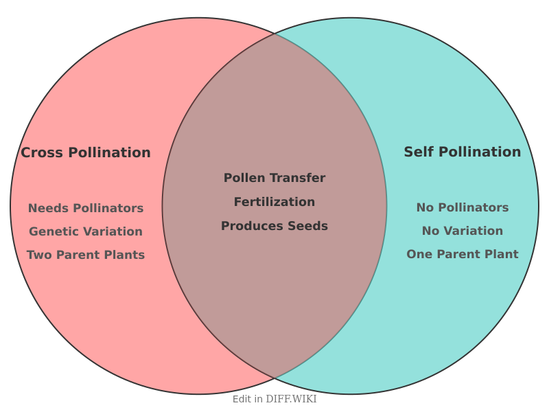 Venn diagram for Differences between Cross Pollination and Self Pollination