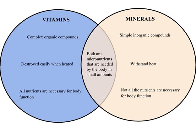 File:Vitamins vs minerals.jpg