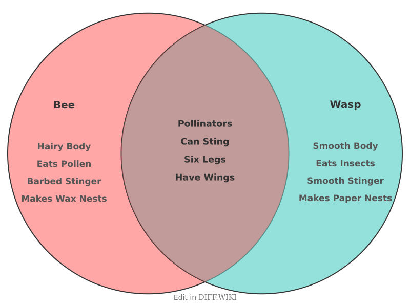 Venn diagram for Differences between Bee and Wasp