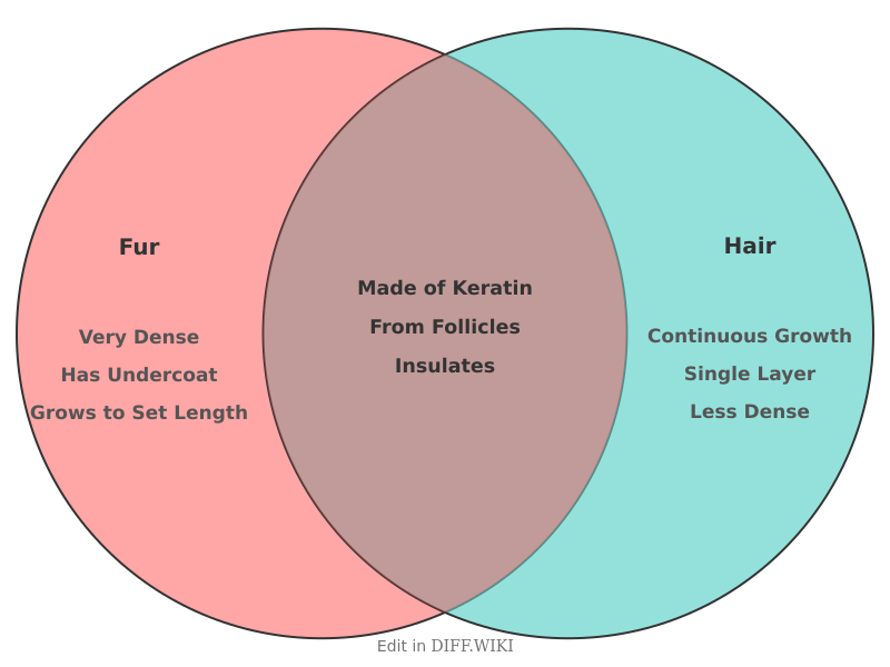 Venn diagram for Differences between Fur and Hair