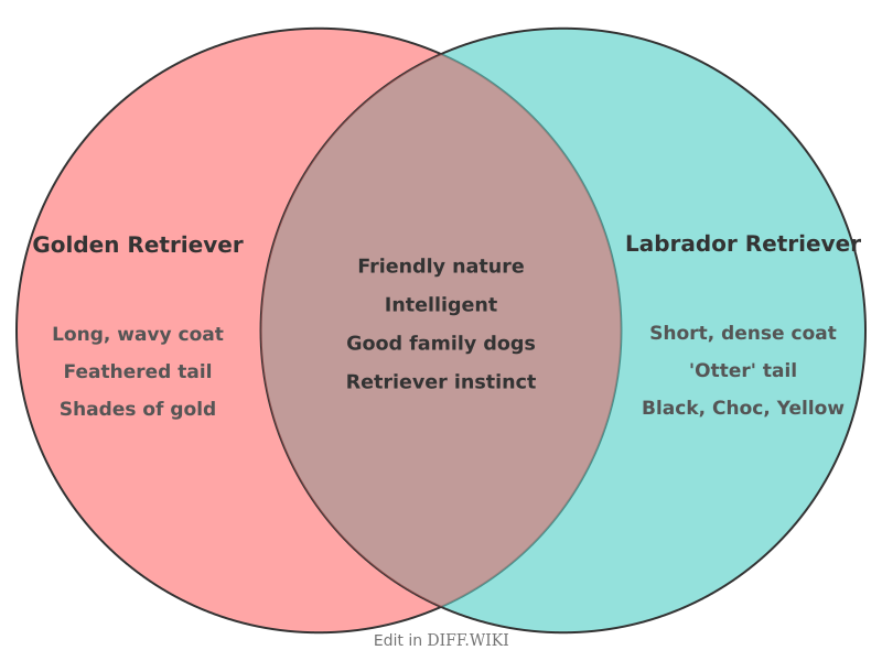 Venn diagram for Differences between Golden Retriever and Labrador Retriever