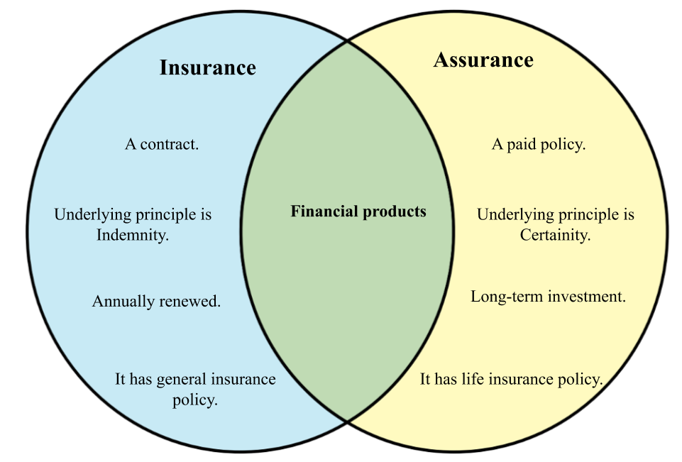 Difference Between Insurance And Assurance Diff wiki