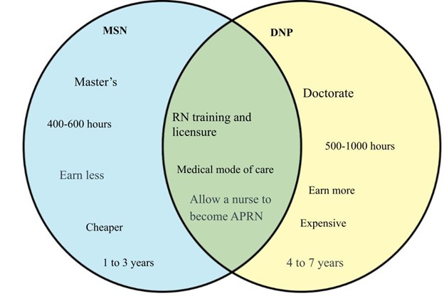 Difference Between Msn And Dnp Diffwiki