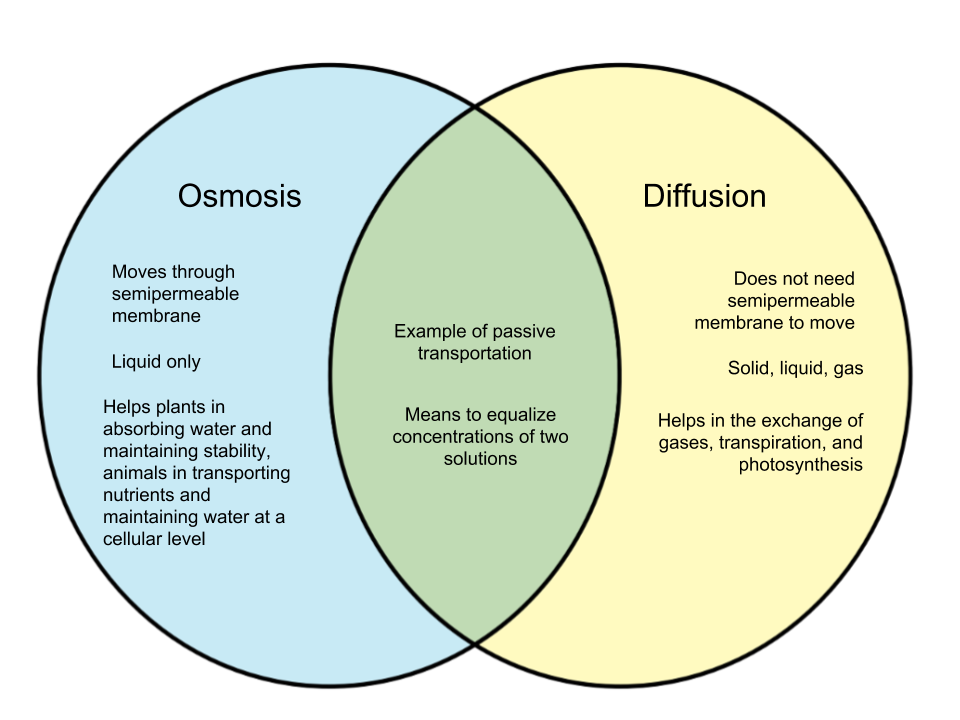 Difference-Between-Osmosis-and-Diffusion.png