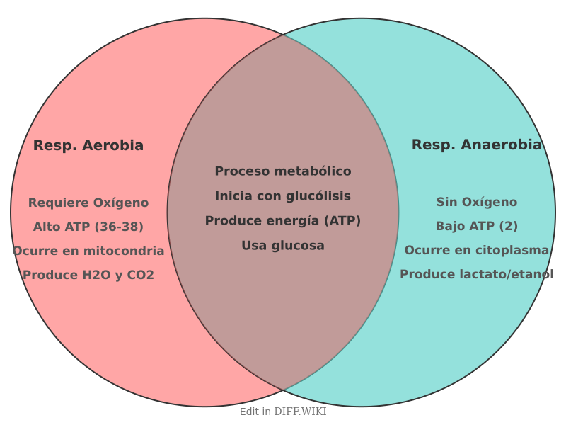Venn diagram for Differences between Respiracion-Aerobia-Anaerobia