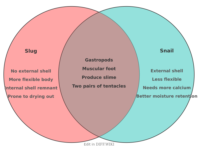Venn diagram for Differences between Slug and Snail
