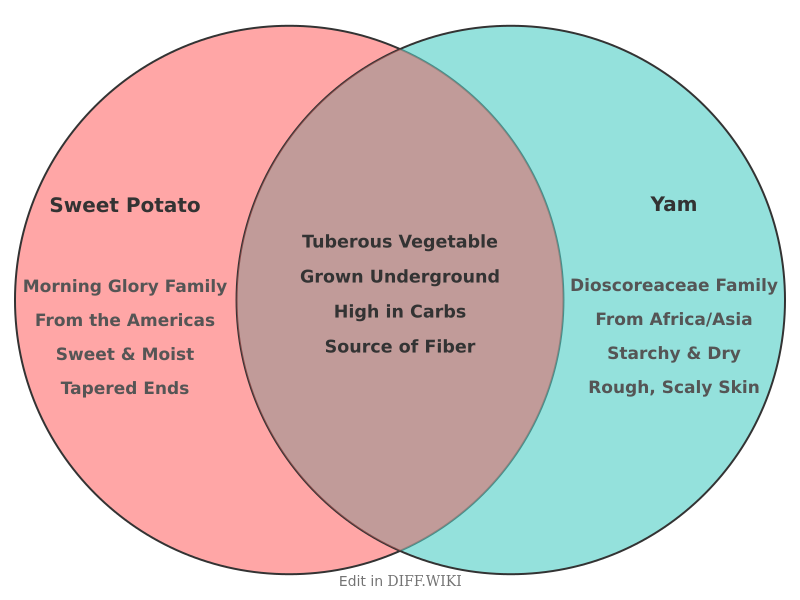 Venn diagram for Differences between Sweet Potato and Yam