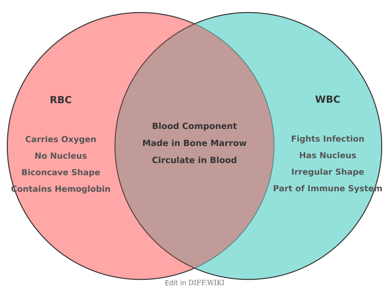 Venn diagram for Differences between RBC and WBC