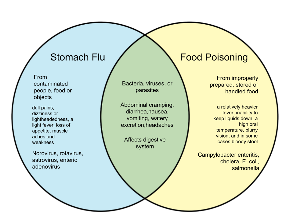 Difference-Between-Stomach-Flu-and-Food-Poisoning.png
