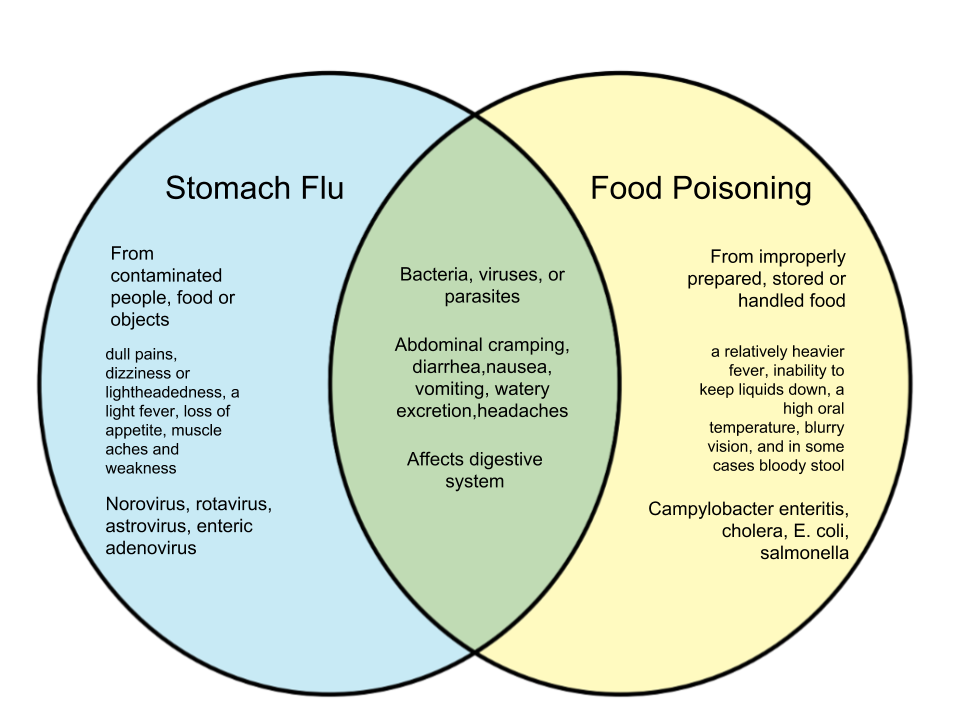 Difference Between Food Poisoning And Stomach Flu Diff wiki