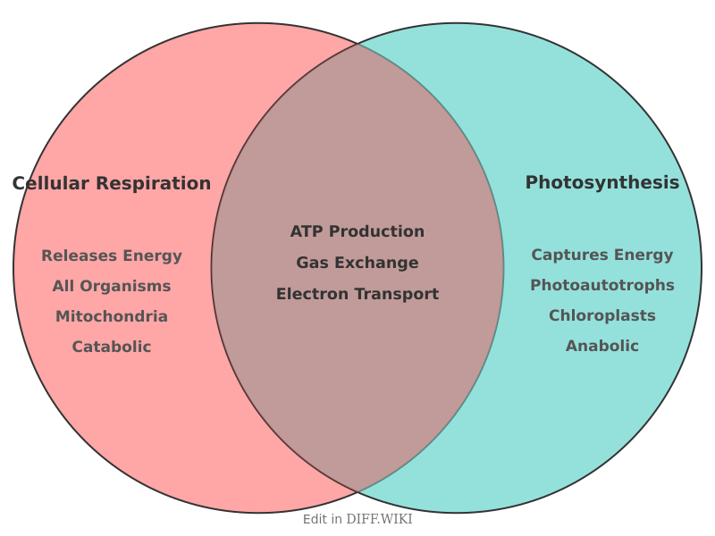 Venn diagram for Differences between Cellular Respiration and Photosynthesis