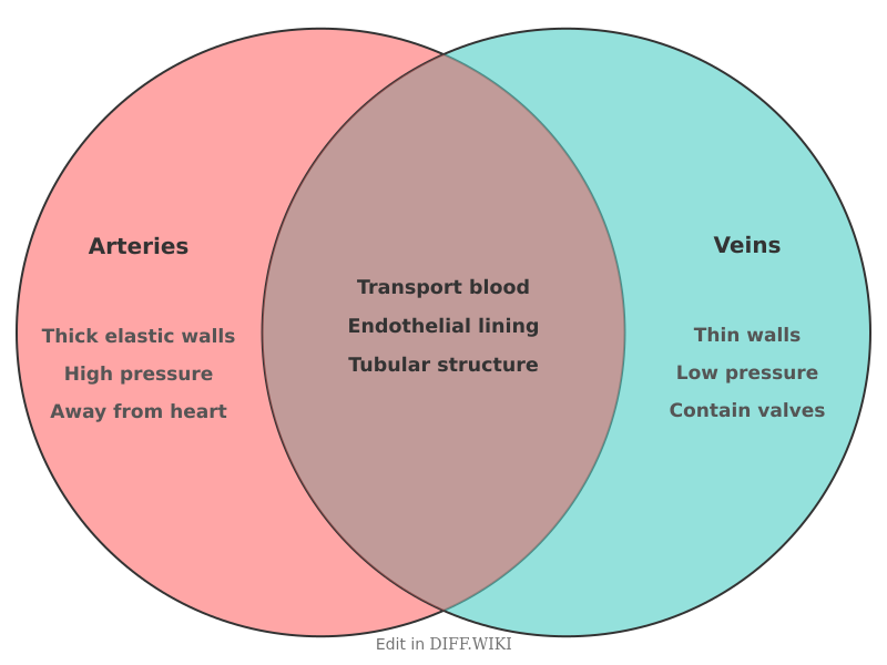 Venn diagram for Differences between Arteries and Veins