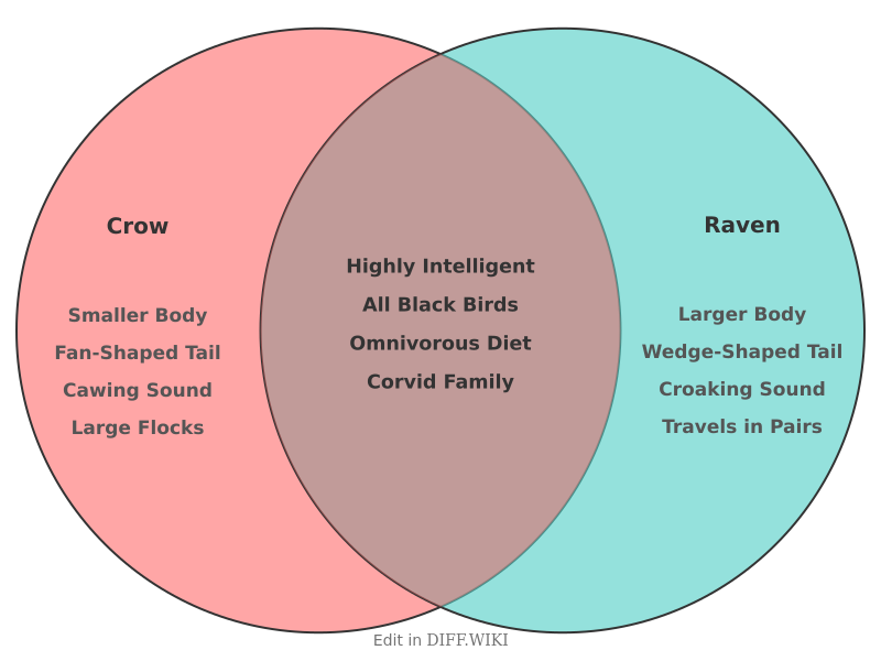 Venn diagram for Differences between Crow and Raven