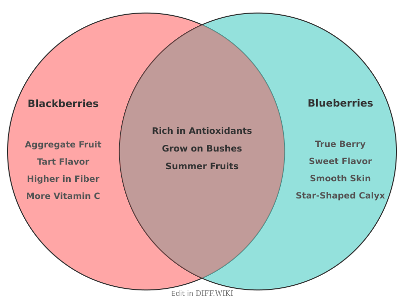 Venn diagram for Differences between Blackberries and Blueberries