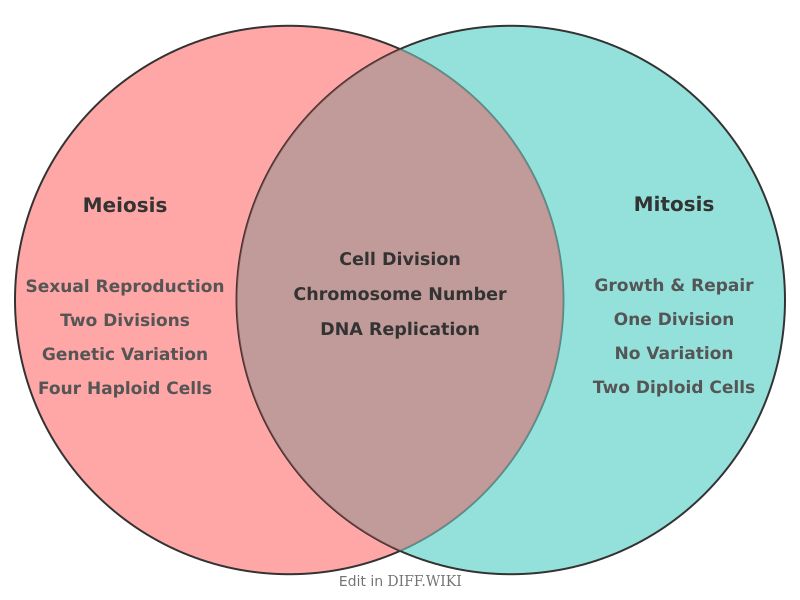 Venn diagram for Differences between Meiosis and Mitosis