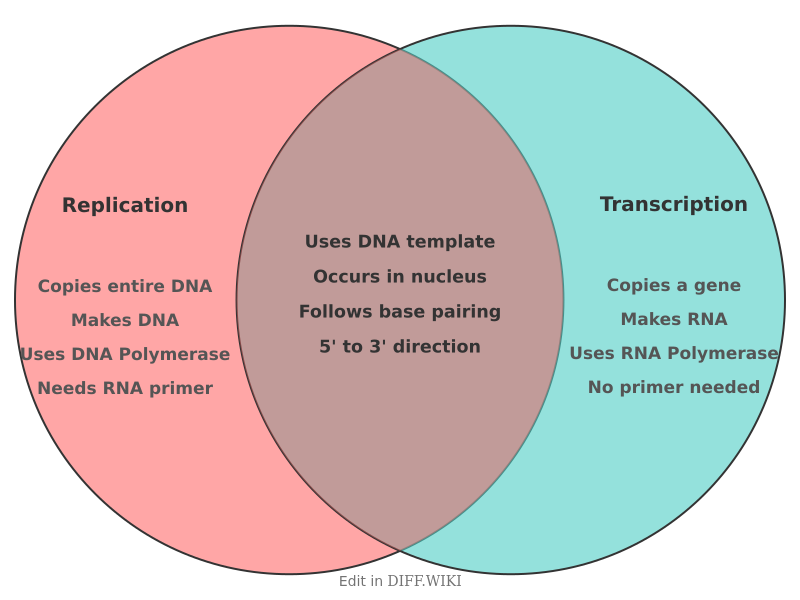 Venn diagram for Differences between Replication and Transcription