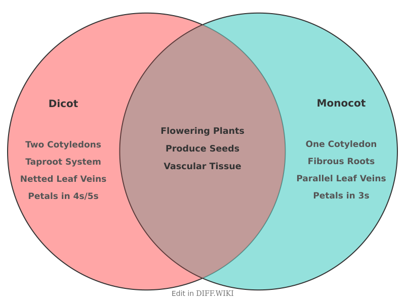 Venn diagram for Differences between Dicot and Monocot