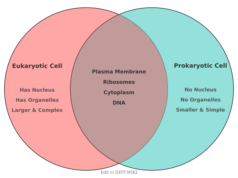 Venn diagram for Differences between Eukaryotic Cell and Prokaryotic Cell