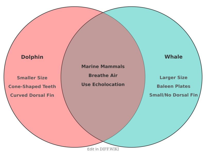 Venn diagram for Differences between Dolphin and Whale