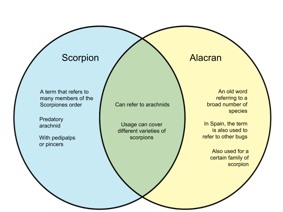 Difference-Between-Scorpion-and-Alacran.png