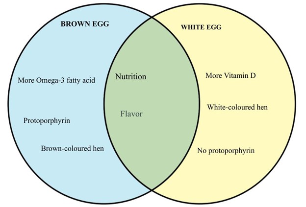 Venn diagram- brown vs white eggs.jpg