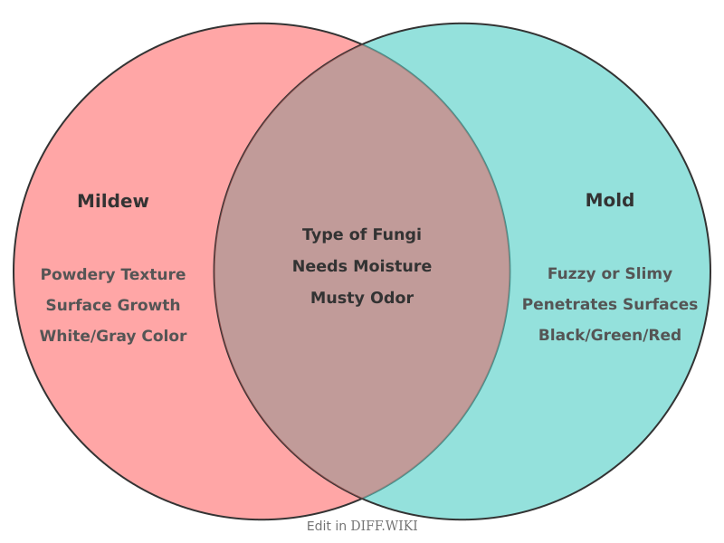 Venn diagram for Differences between Mildew and Mold