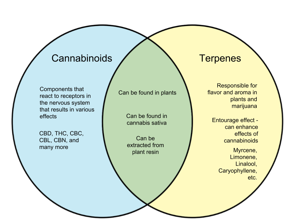 Difference-Between-Cannabinoids-and-Terpenes.png