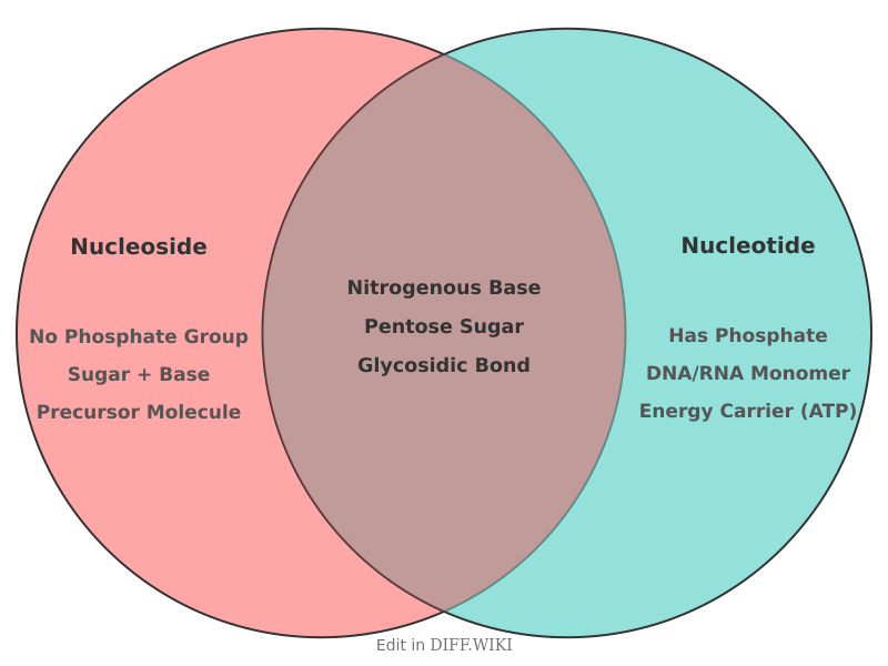 Venn diagram for Differences between Nucleoside and Nucleotide