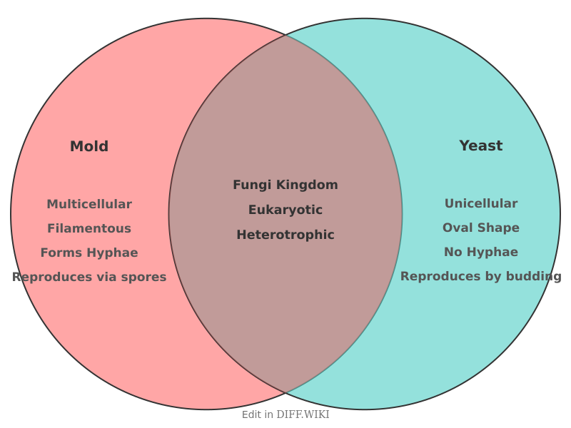Venn diagram for Differences between Mold and Yeast