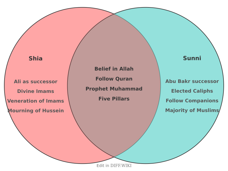 File:Venn diagram Differences between Shia versus Sunni comparison.png