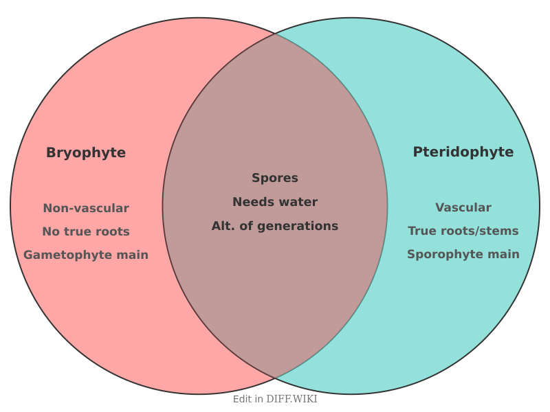 Venn diagram for Differences between Bryophyte and Pteridophyte
