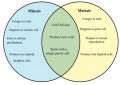Difference between Mitosis and Meiosis.jpg