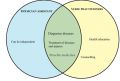 Venn diagram; nurse practitioner vs physician assistant.jpg