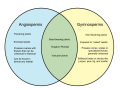 Difference-Between-Angiosperms-and-Gymnosperms.png